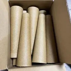 Item thumbnail for item 3dda77c3-4582-4381-bb36-37a38b8cad11