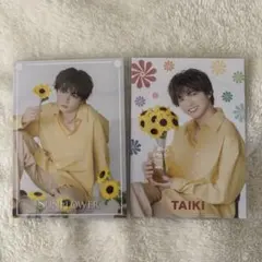 FANTASTICS 佐藤大樹　SUNFLOWER フォトカ　ノーマル
