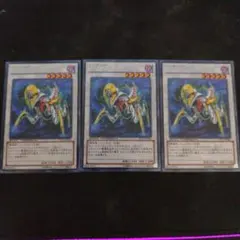 AOJ カタストル DTC1 3枚セット