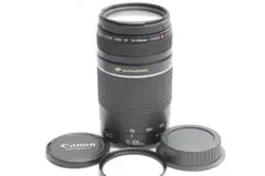 ⭐️実用品⭐️Canon キャノン EF 75-300mm 4-5.6 ⅢUSM - メルカリ
