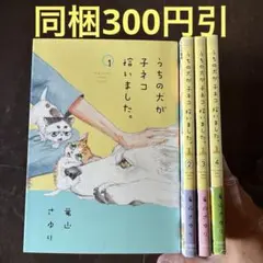 うちの犬が子ネコ拾いました。 = Dog meets Baby Cats!!