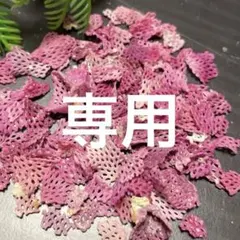 ✴︎まーやん様専用✴︎