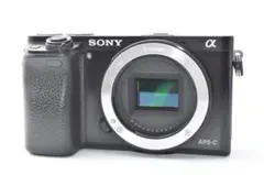 SONY ソニー α6100 ILCE-6100 ボディ ホワイト ジャンク - メルカリ
