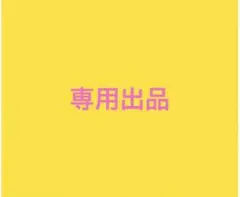 専用出品