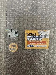 ハイキュー　アクリルminiフィギュア　及川徹　岩泉一