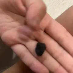 ワイヤレスイヤホンっぽい黒いねりけし