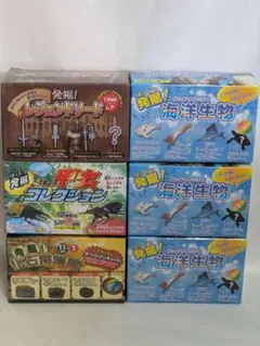 夏休み　発掘　海洋生物　甲虫コレクション　レジェンドソード　化石博物館