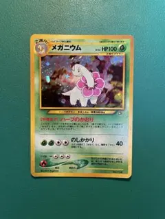 メガニウム LV.54 旧裏