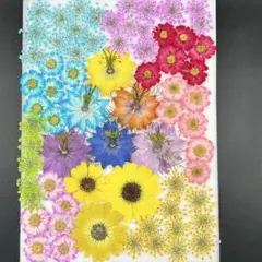 HANA様 リクエスト 2点 まとめ商品 - メルカリ