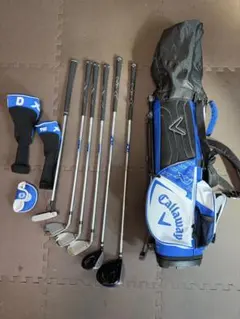 Item thumbnail for item 01afa6f1-015d-47cc-a06c-181ed968e903