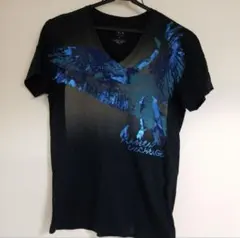 Item thumbnail for item d989ee76-a321-4aec-9fbf-dcde5f99d516