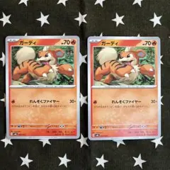 ガーディ　P3442