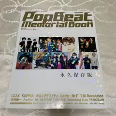 【ほぼ新品】PopBeat Memorial Book 1995-2001