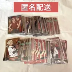 ツイステ　メタルカード　ウエハース　スカラビア寮　カリム　ジャミル