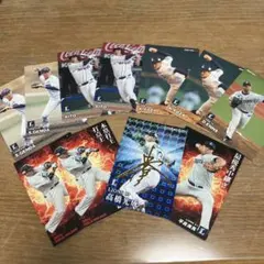 プロ野球チップスカード埼玉西武ライオンズ
