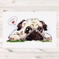 イラスト 原画 ポストカード 絵 【パグ】266