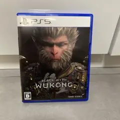PS5 黒神話:悟空