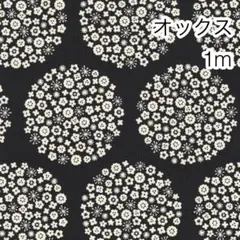 1m サークルフラワー ブラック オックス