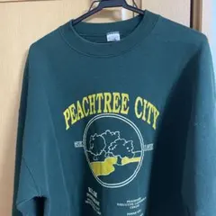 古着fruits of the room トレーナー