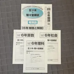 ramune様 リクエスト 2点 まとめ商品