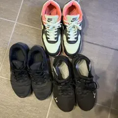 Item thumbnail for item 8f209643-7493-4cf9-9411-2d4875631dd6