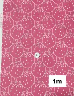 いちご柄　ピンク　シンプル　オックス生地　1m