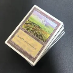 2025年最新】mtg 基本土地の人気アイテム - メルカリ