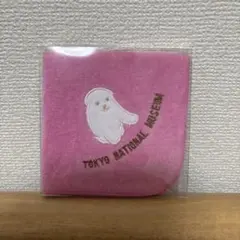 Item thumbnail for item c160736a-efad-4447-95da-cde8afe8671d