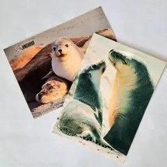 Item thumbnail for item 77e59aa3-5a4a-42f8-8d71-c1decbb424fa