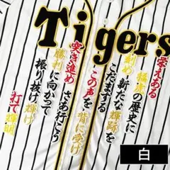 広島 カープ 佐々木泰 刺繍ワッペン 3点セット【黒】応援歌 シルエット