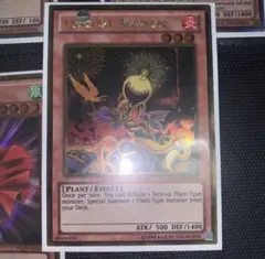 Item thumbnail for item 9ac10ac3-0bb2-45df-af12-f63307346512