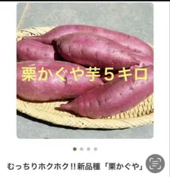 2026年最新】栗かぐやの人気アイテム - メルカリ