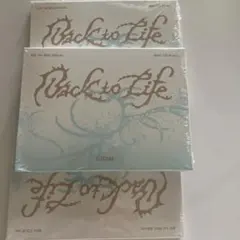 &TEAM Back to Life Mini Album CD 新品未開封3枚