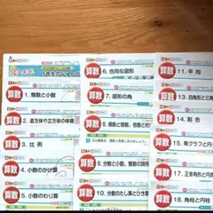 東京書籍　教育同人社 5年　2025年度　カラーテストのサムネイル
