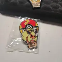 韓国ロッテワールド限定　ポケモン　ブースタ　ピンバッジ