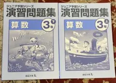 2026年最新】ジュニア予習シリーズ 3年の人気アイテム - メルカリ