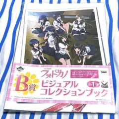 Item thumbnail for item 70d0b4cc-1aca-4db7-b4a9-bc63061e1aad