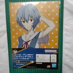 evangelion　sticker　clearfile　ayanami　rei