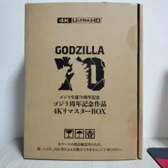 ゴジラ生誕50周年 ゴジラ ファイナルBOX ゴジラヘッド 説明書付き 未使用品 Godzilla Final Box – MyKaiju®