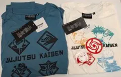 Item thumbnail for item 82dc9a9b-ca1f-4a3f-aa8d-1456000dce38