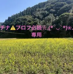 チナ⚠️プロフ必読❀.(*´◡`*)❀.専用ページです