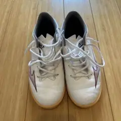 Mizuno Alpha ホワイトシューズ　22.5センチ