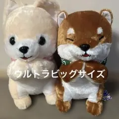 2025年最新】豆柴三兄弟の人気アイテム - メルカリ