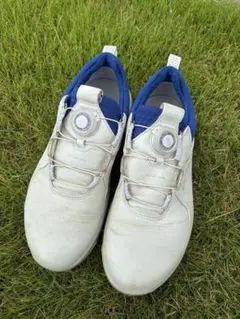 定価2.4万】ecco Wバイオム レディース ゴルフハイブリッドシューズ