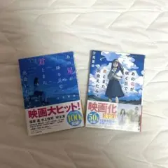 あの星が降る丘で君とまた出会いたい あの花が咲く丘で君とまた出会えたら