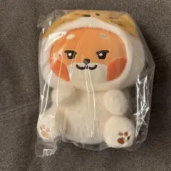 2026年最新】ZeroBaseOne ぬいぐるみ マシューの人気アイテム - メルカリ