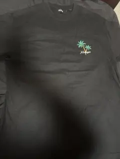 XLARGE パームツリー刺繍 Tシャツ Lサイズ ブラック