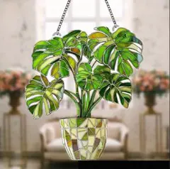 2026年最新】モンステラカップの人気アイテム - メルカリ