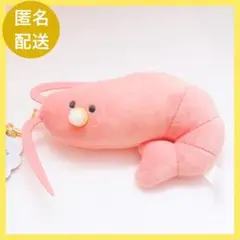 つぶらな瞳の 水族館 むぎゅぬい ベビーえび ぬいぐるみ マスコット