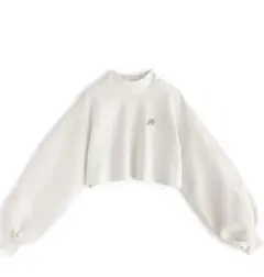 Item thumbnail for item 89896eb7-e6c9-40a3-8ea9-35ba85aa7572